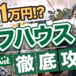 【アパレル物販の稼ぎ方】オフハウス徹底攻略！古着転売ヤーがオフハウス仕入れで利益10万円【せどり】