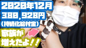 2020年12月のYouTube＋アフィリエイト収益報告＜380,928円＞持続化給付金