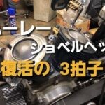 Free Run Chopper ハーレー ショベル モトブログ