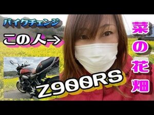 (モトブログ)　Z900RSとゼファー７５０を交換したよ
