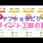 ヤフショせどり！！！ポイント計算徹底解説。注意点あるので引っかからないように