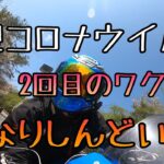 モトブログ #0186 新型コロナウイルスのワクチンに対する身体の反応が凄まじい件【GSX-R1000R】