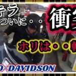 【モトブログ★185】ハーレーこかして衝突事故!みんなで伊勢神宮へ初詣!