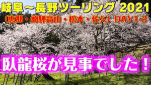 [モトブログ] 岐阜～長野ツーリング 2021 （恵那・飛騨高山・松本・佐久） DAY-1 #3 国道257号線 桜満開花見ロード！ 臥龍桜が見事でした！[Motovlog]Z900RS XSR900