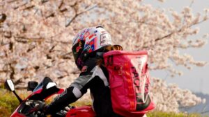 桜吹雪の中を走る/ ホーネット250DX・CRF250L・DEMON150GR【モトブログ】