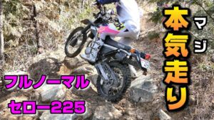 【林道モトブログ】オフ車始めました。　第298話