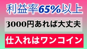 初心者せどり必見【全て500円以下】総額3,000円の仕入れで〇万円に増やせました！