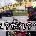 【バイク女子】要は逆ナンってやつよ【モトブログ】【CBR250RR】