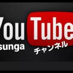 Free Run Chopper （後編）ＳＯＮＹアクションカム４ｋハーレー  モトブログ