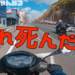 【モトブログ】スクーター恐怖症の人間がスズキ アドレスに乗ってみた結果....【GSX-R125】