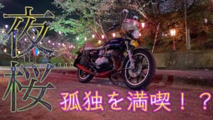 GT380で夜桜を見に行く！！【モトブログ】