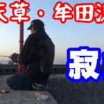 上天草・牟田漁港で寂釣【NC750XモトブログCC110】釣ーりんぐ