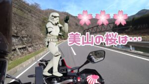 満開の桜は？🌸アフリカツインRJハーレーエボリューション#モトブログ