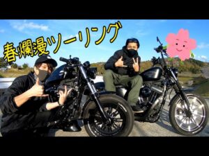 春だし走りに行こうぜ‼︎　XL1200X  XL883N  【モトブログ】【流し撮り】