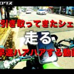 さっき引取ってきたシェルパで早速ハアハアする動画 / motovlog #484 【モトブログ】
