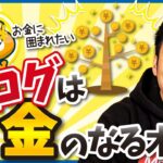 【お金のなる木を育てる】ブログは知識をお金に変える装置