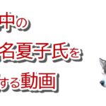 ブログ記事も削除、ハム速も記事削除、乗車拒否で炎上商法が囁かれるなど、ブログが発端で、いろいろな事件が起こったので伊是名夏子さんを応援する動画。熱海旅行が大事に…