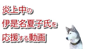 ブログ記事も削除、ハム速も記事削除、乗車拒否で炎上商法が囁かれるなど、ブログが発端で、いろいろな事件が起こったので伊是名夏子さんを応援する動画。熱海旅行が大事に…