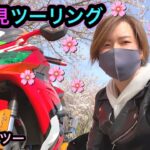 女一人でお花見ツーリングしたら楽しすぎた【モトブログ】