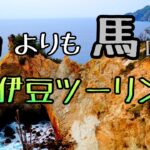 モトブログ #0194 馬ロックが馬過ぎた西伊豆ツーリング【GSX-R1000R】