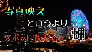 モトブログ #0196 バイク乗りがSNS映えで迷惑行為を続けると・・・【GSX-R1000R】
