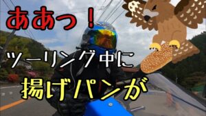 モトブログ #0197 オギノパンには寄らないけどトンビと雨に気を付けてツーリング【GSX-R1000R】