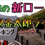モトブログ #0200 箱根の新しい道"箱根金太郎ライン"【GSX-R1000R】
