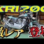 【モトブログバラエティ】＃135 激レアハーレー登場！！髪の毛バッチリセットしてきたけどコレは乗りたいよね。