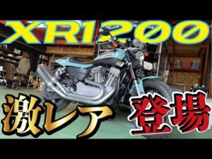 【モトブログバラエティ】＃135 激レアハーレー登場！！髪の毛バッチリセットしてきたけどコレは乗りたいよね。