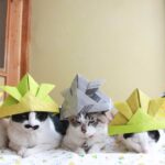 こどもの日　折り紙兜　2021 210505