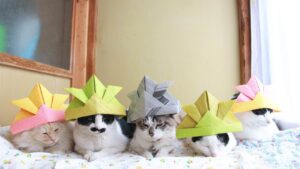こどもの日　折り紙兜　2021 210505