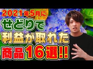 2021年5月利益が取れた商品16選!!どの店舗で仕入れ⁈どうやって⁈