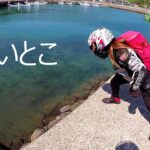 高い場所が苦手なヤツ/ ホーネット250DX・CRF250L・DEMON150GR【モトブログ】