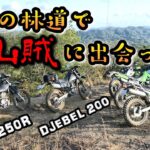 【林道モトブログ】オフ車始めました。　第304話