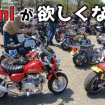 【モトブログ】4miniツーリングの集会に初参加したらカッコ良すぎて欲しくなる動画