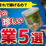 【え、それで稼げるの？】現代の珍しい副業5選