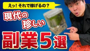 【え、それで稼げるの？】現代の珍しい副業5選