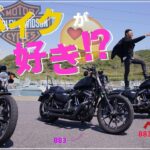 【モトブログ】大洗春の883祭りツーリング🍞【ハーレー多め単車ギャルガルパンあり】