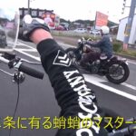 Free Run Chopまだまだ慣らし➁ハーレー ショベル モトブログ