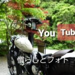 Free Run Chopper 慣らしもいいけど ハーレーモトブログ