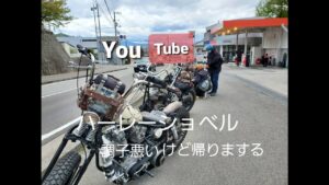 Free Run Chopper ハーレー ショベル慣らしツーリング  モトブログ⓻4/12