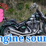 Harley1995FXSTSB.With weber carburetor sound.RJハーレーモトブログ