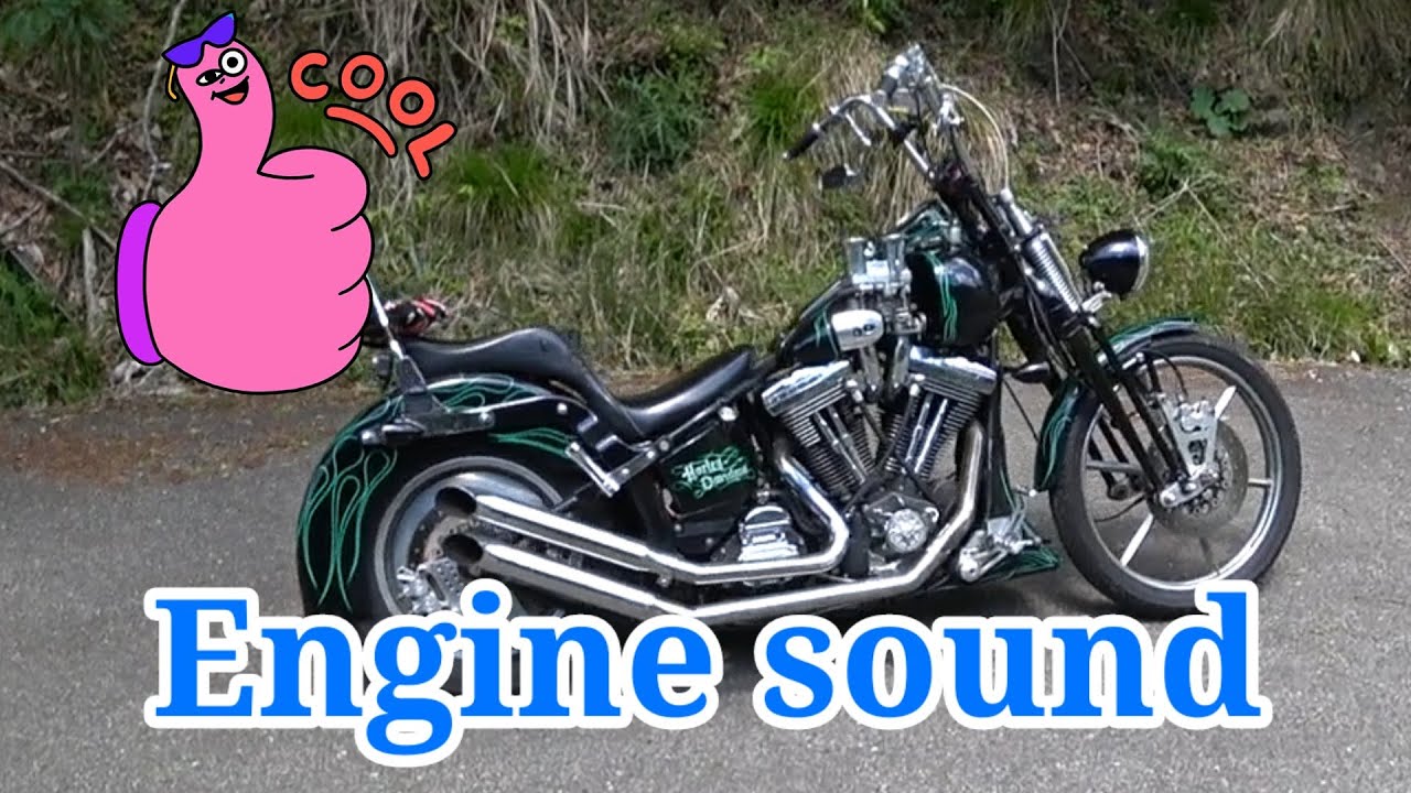 Harley1995FXSTSB.With weber carburetor sound.RJハーレーモトブログ