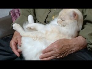 かご猫LIVE配信 朝まで？　210528