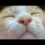 うずまきLIVE配信　210523