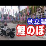 杖立温泉の鯉のぼり【NC750XモトブログCC110】熊本・杖立