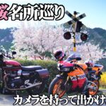 【モトブログ】桜を求めてバイク女子広島の名所巡ってきました。綺麗な桜を見つけることができました。SpeedTwin CBR600RR REPSOLで行くチビッ子女性ライダーカメラ女子