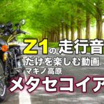 【モトブログ】Z1の走行音と景色だけを楽しむ動画【ゼットワン】