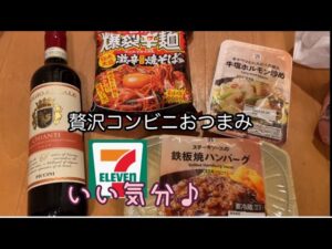 晩酌🍺🍷塩ホルモンと機内食風ハンバーグで旅気分✈️