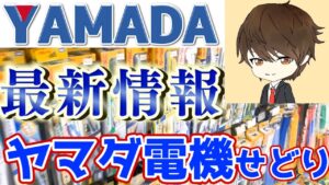 【ヤマダ電機せどり】おもちゃ、ヘルビ、家電の仕入れ術を大公開！